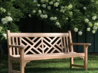 Banc de bricolage en bois: comment décorer un jardin personnel (54 idées de photo)