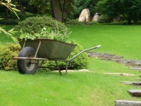 How to make a cart with your own hands: garden, construction and for transportation of goods. 87 photos + instructions